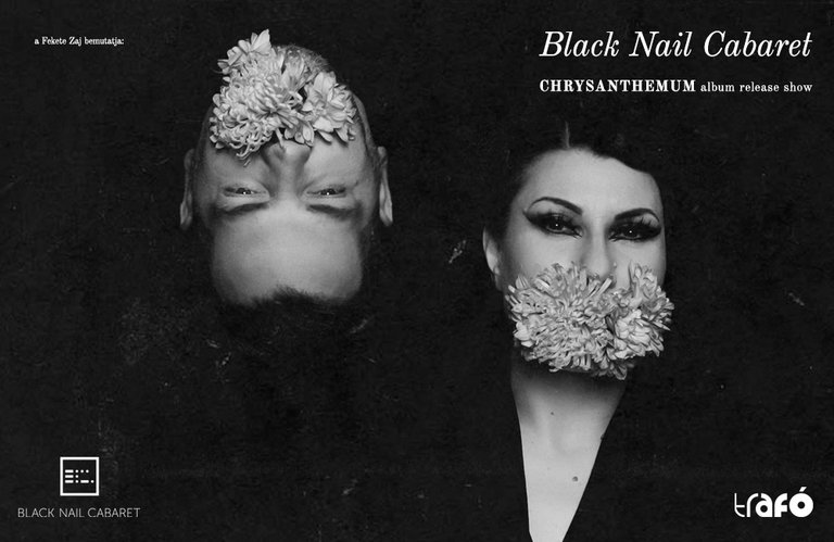 Black Nail Cabaret Chrysanthemum